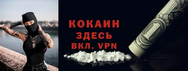 дмт Елизово