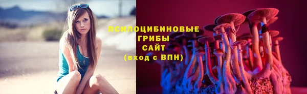 дмт Елизово