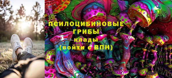 дмт Елизово