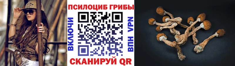 Галлюциногенные грибы Magic Shrooms  Купить где  Шумерля 
